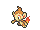 Chimchar