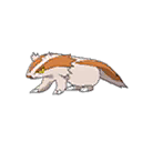 Linoone – #264 - Rushing Pokémon - veekun